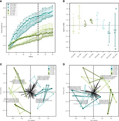 Metformin Strongly Affects Gut Microbiome Composition in High-Fat Diet-Induced Type 2 Diabetes Mouse Model of Both Sexes